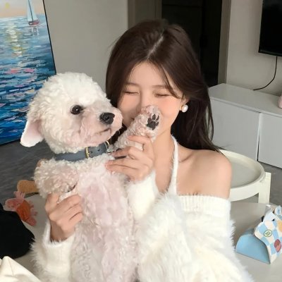 天堂岛疑云：2024圣诞特别篇